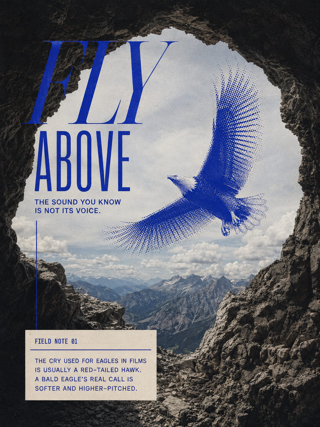 FLY ABOVE poster featuring an eagle flying above a mountain landscape