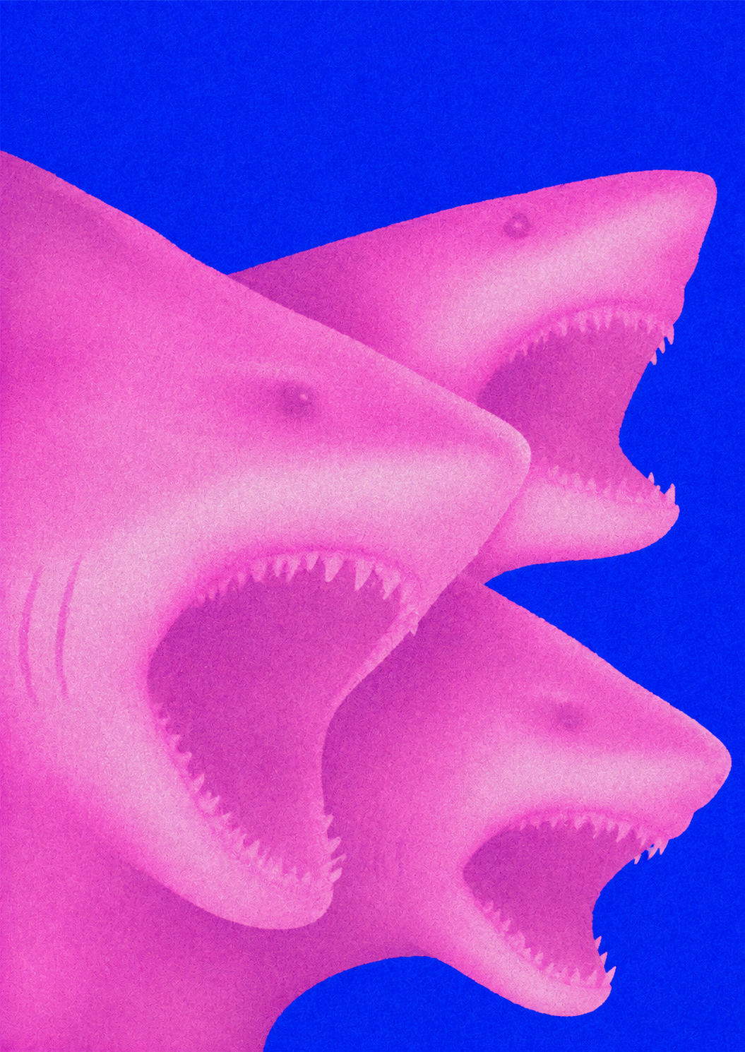 Visual study featuring three overlapping pink sharks on a vivid blue background
